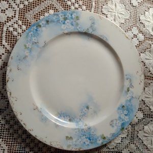 Hand Painted Plate from France.